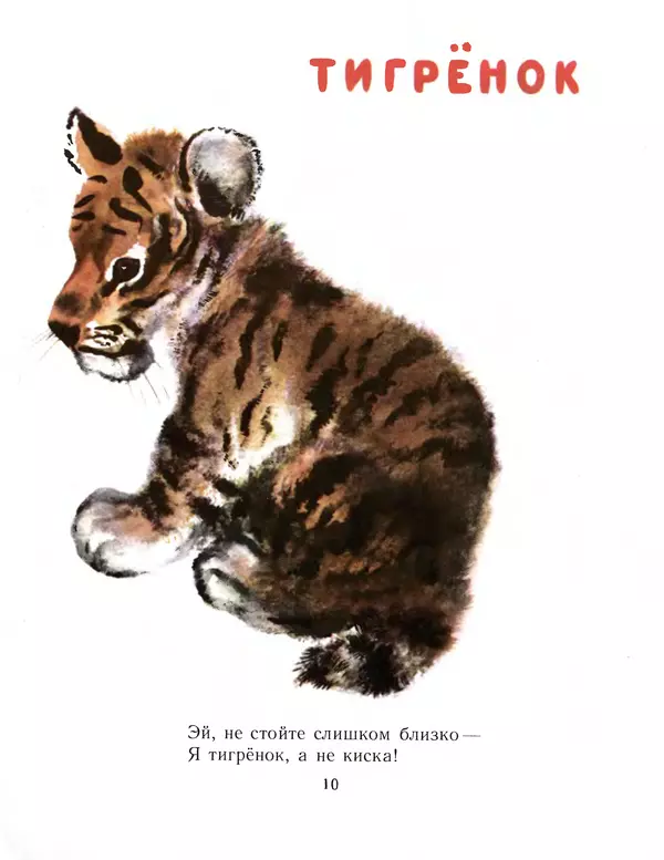 Евгений Чарушин - Детки в клетке - Страница № 11