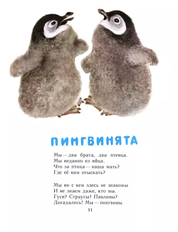 Евгений Чарушин - Детки в клетке - Страница № 12