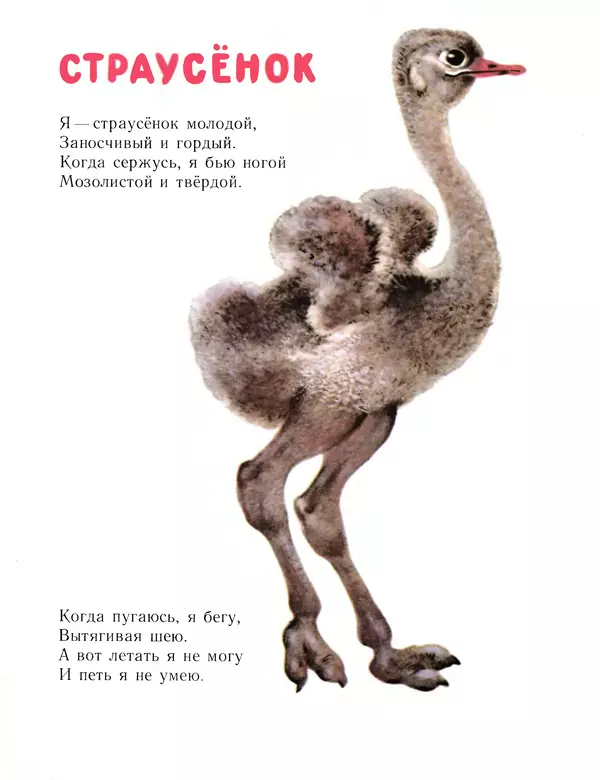 Евгений Чарушин - Детки в клетке - Страница № 19