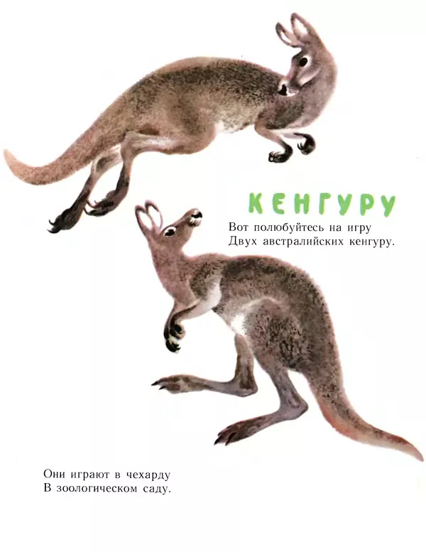 Евгений Чарушин - Детки в клетке - Страница № 20