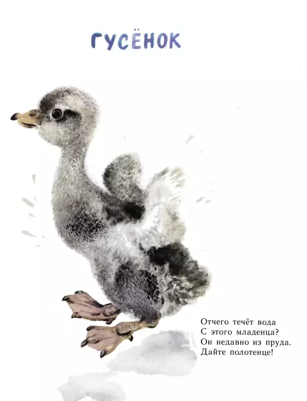 Евгений Чарушин - Детки в клетке - Страница № 21