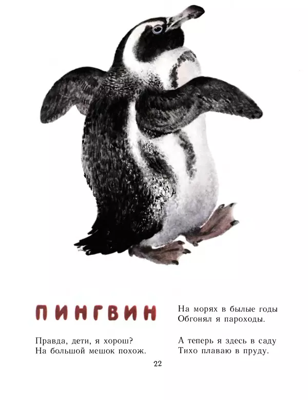 Евгений Чарушин - Детки в клетке - Страница № 23