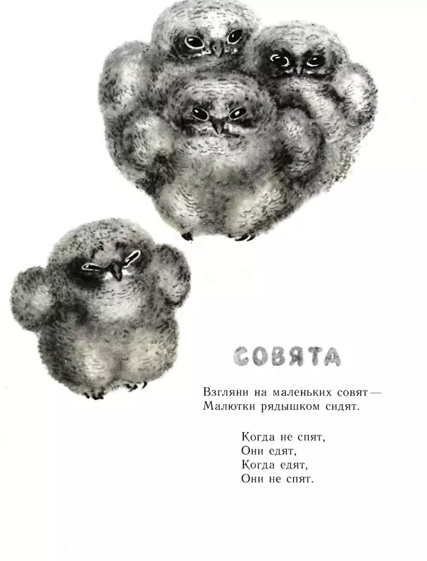 Евгений Чарушин - Детки в клетке - Страница № 24