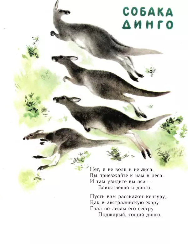 Евгений Чарушин - Детки в клетке - Страница № 25