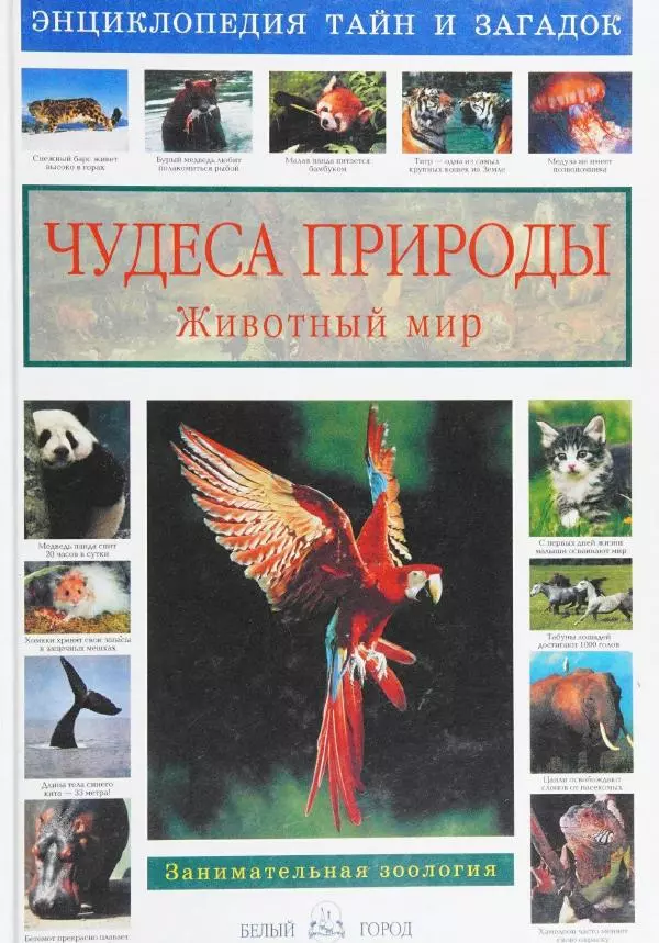 Виктор Калашников - Чудеса природы. Животный мир - Страница № 1