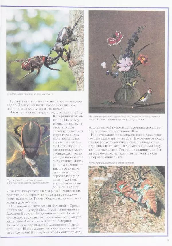 Виктор Калашников - Чудеса природы. Животный мир - Страница № 9