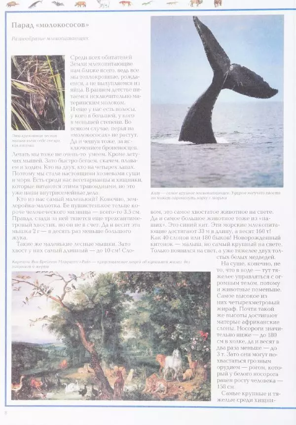 Виктор Калашников - Чудеса природы. Животный мир - Страница № 12