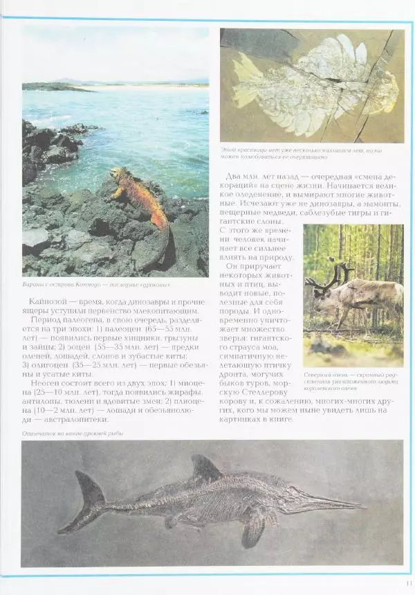 Виктор Калашников - Чудеса природы. Животный мир - Страница № 15