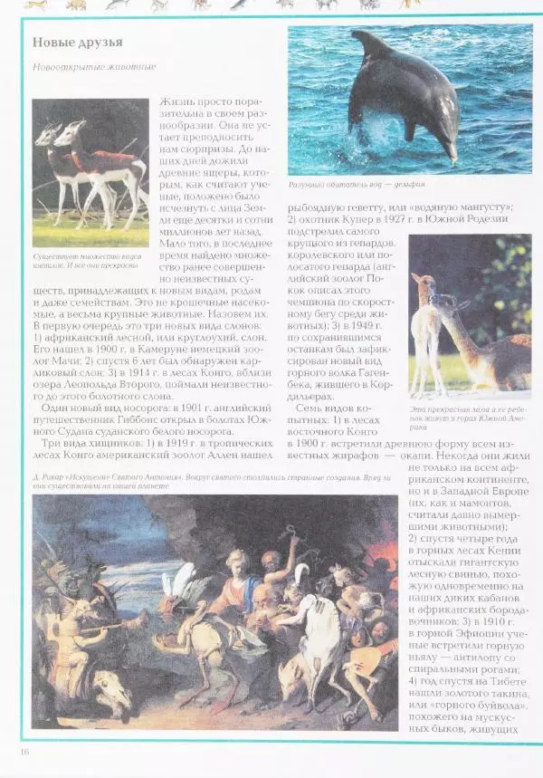 Виктор Калашников - Чудеса природы. Животный мир - Страница № 20