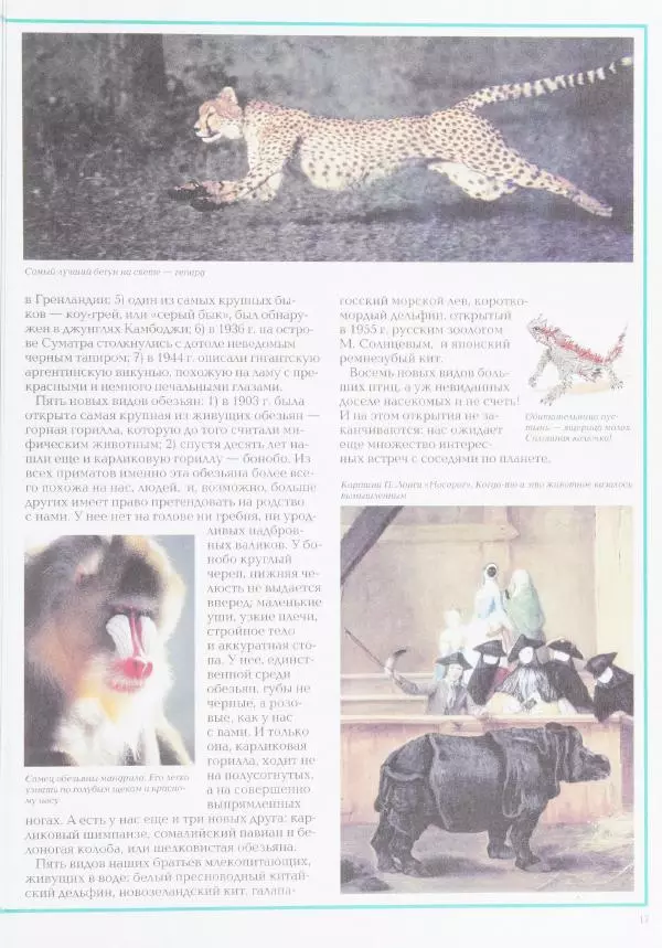 Виктор Калашников - Чудеса природы. Животный мир - Страница № 21