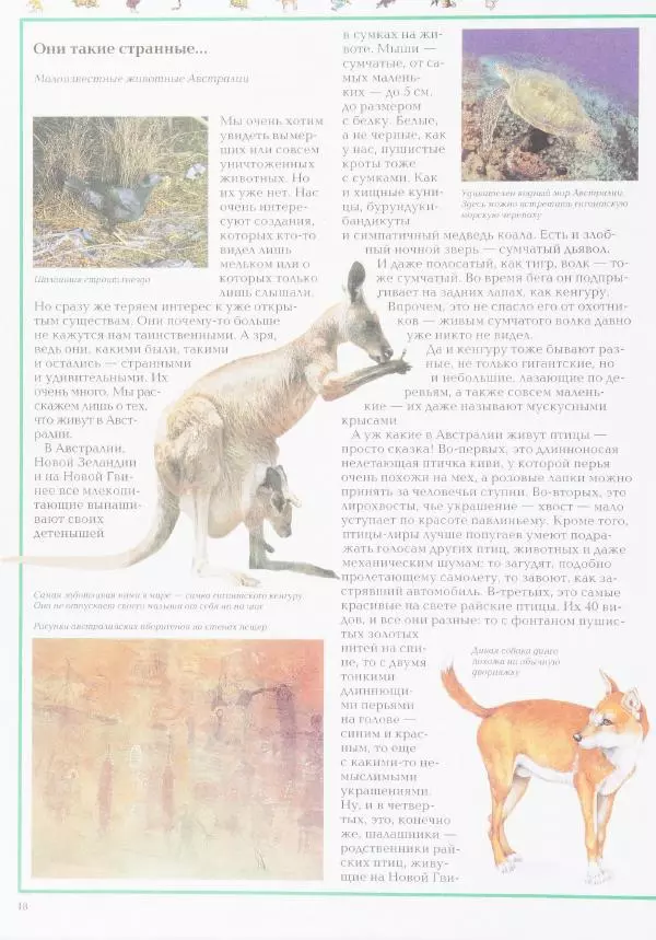 Виктор Калашников - Чудеса природы. Животный мир - Страница № 22