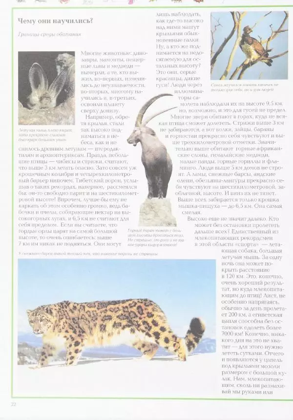 Виктор Калашников - Чудеса природы. Животный мир -</p> --