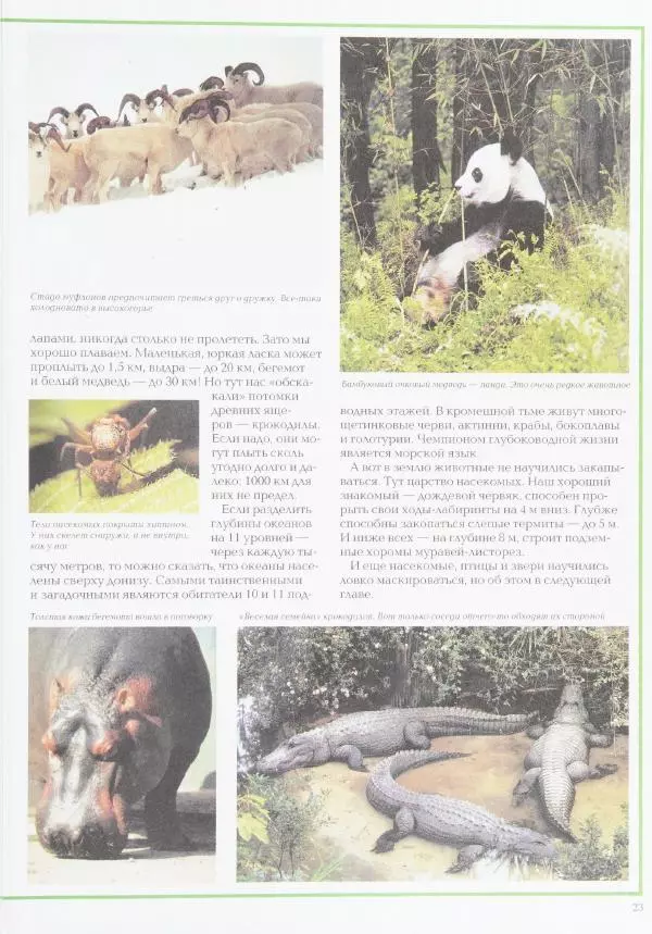 Виктор Калашников - Чудеса природы. Животный мир - Страница № 27