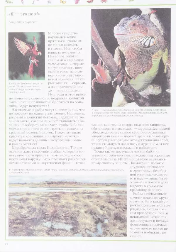 Виктор Калашников - Чудеса природы. Животный мир - Страница № 28