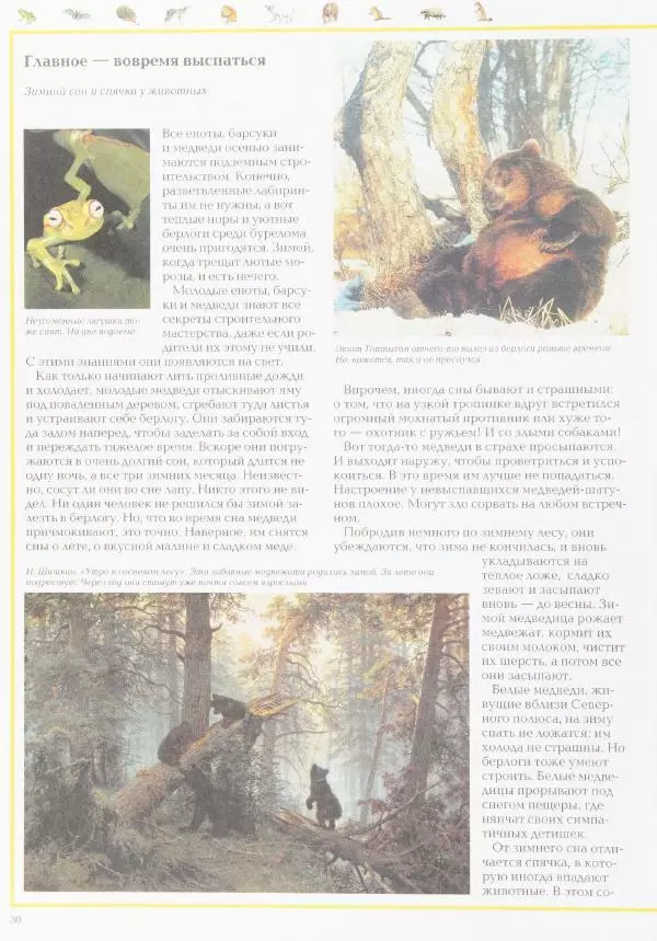 Виктор Калашников - Чудеса природы. Животный мир - Страница № 34