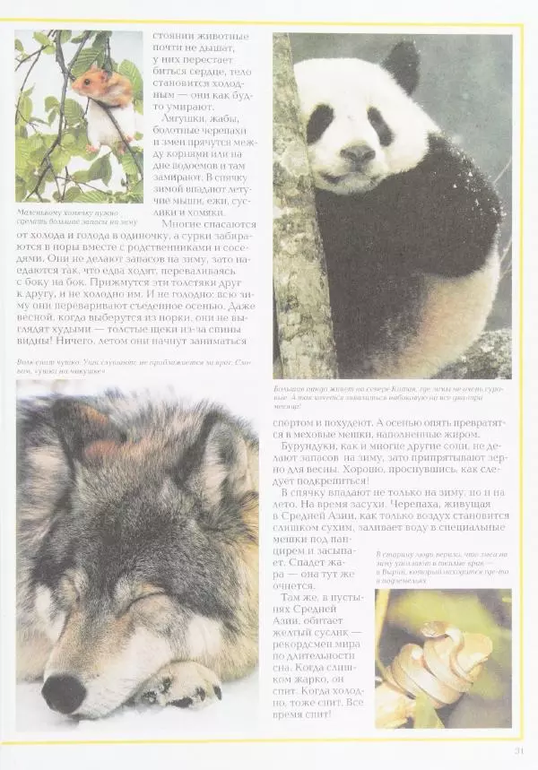 Виктор Калашников - Чудеса природы. Животный мир - Страница № 35