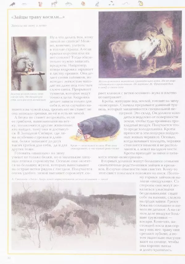 Виктор Калашников - Чудеса природы. Животный мир - Страница № 36