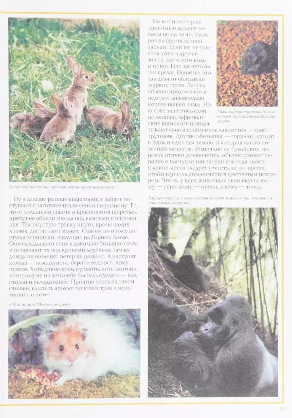Виктор Калашников - Чудеса природы. Животный мир - Страница № 37
