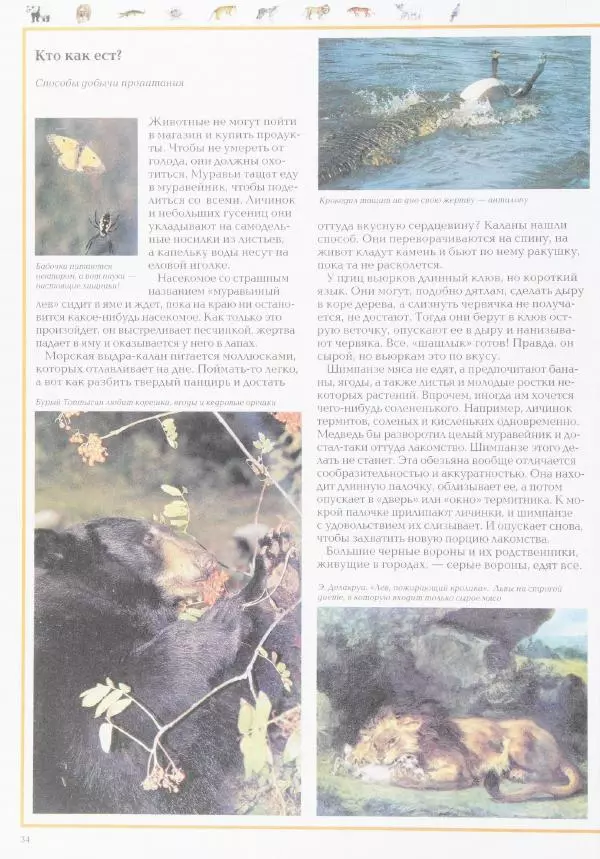 Виктор Калашников - Чудеса природы. Животный мир - Страница № 38