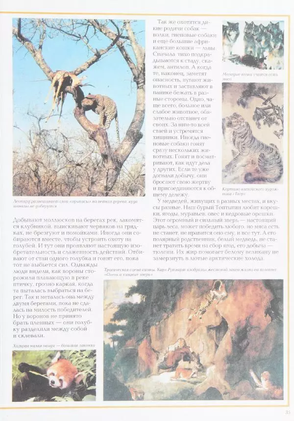 Виктор Калашников - Чудеса природы. Животный мир - Страница № 39