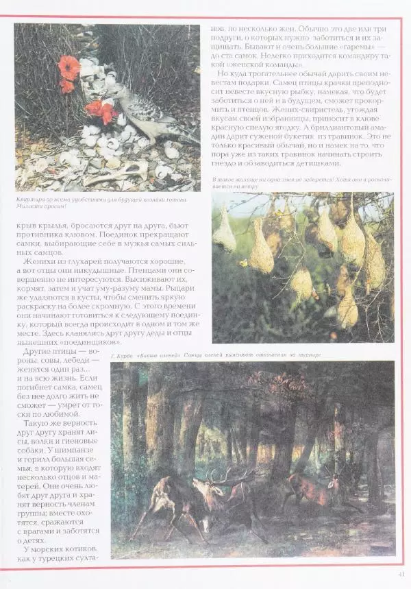 Виктор Калашников - Чудеса природы. Животный мир - Страница № 45