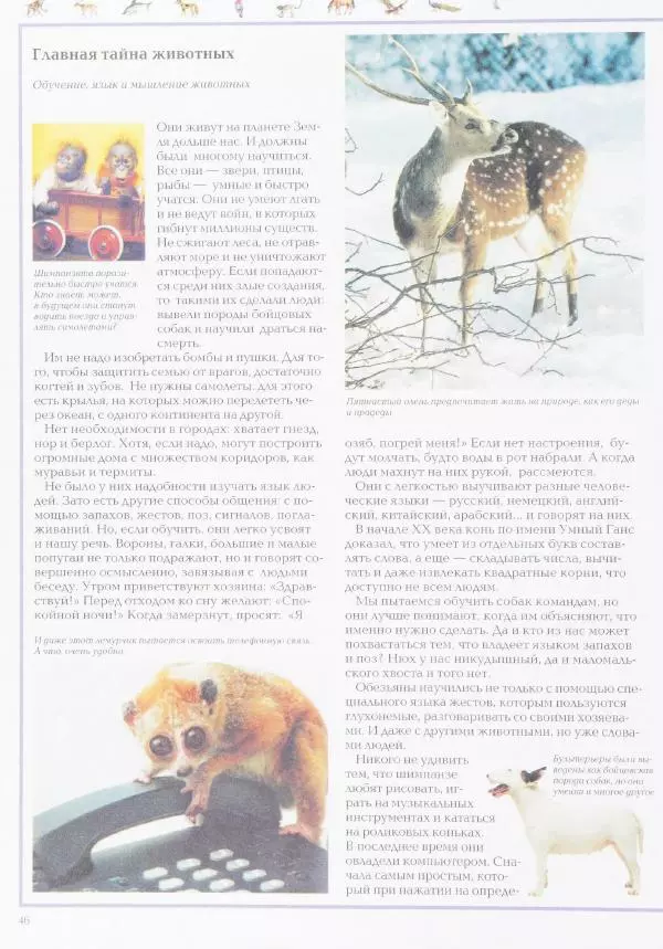 Виктор Калашников - Чудеса природы. Животный мир - Страница № 50