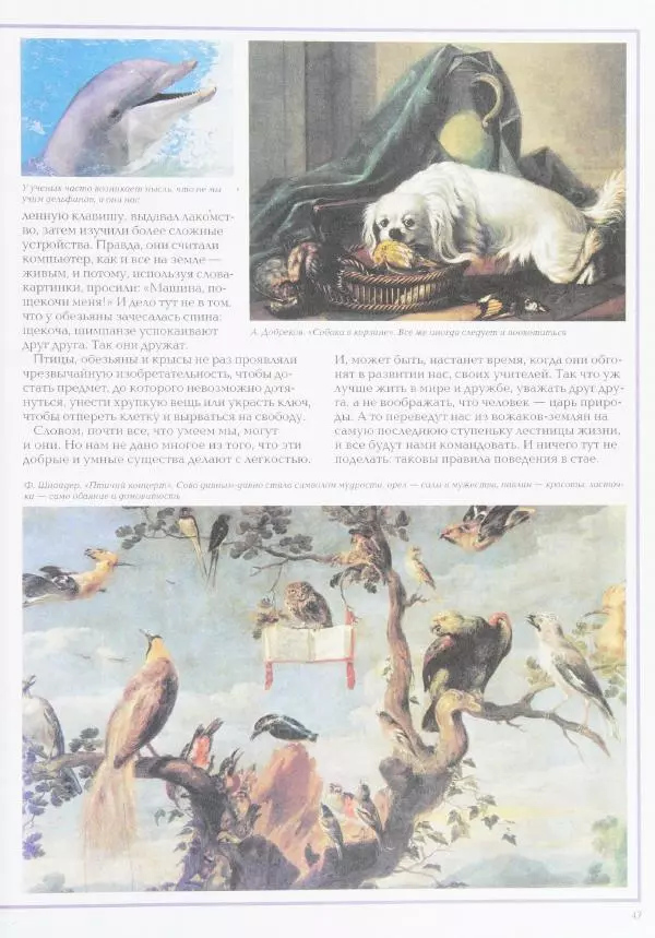 Виктор Калашников - Чудеса природы. Животный мир - Страница № 51