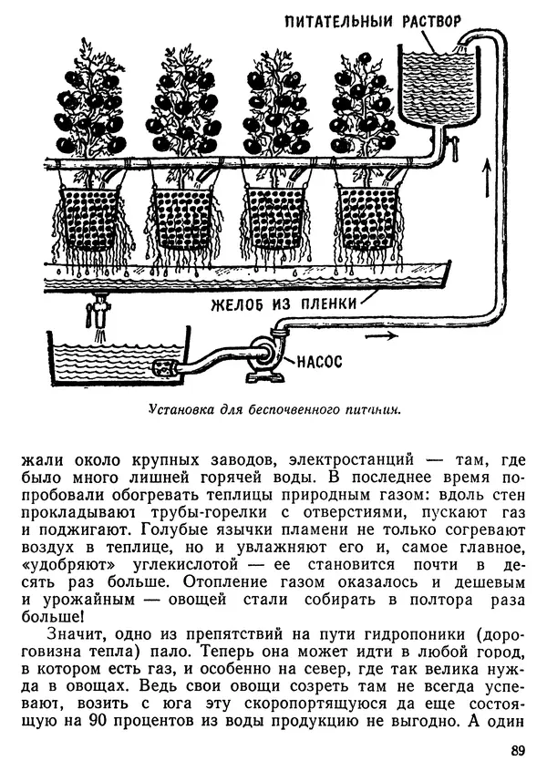 Михаил Васин - Два шага до чуда - Страница № 90
