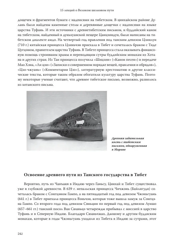 Линь Мэйцунь - 15 лекций об археологии Великого шелкового пути - Страница № 243