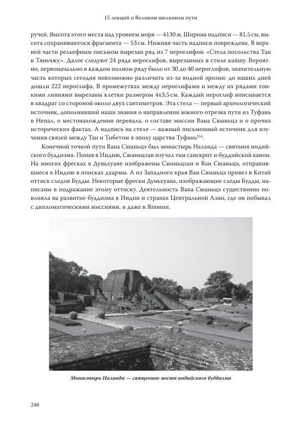 Линь Мэйцунь - 15 лекций об археологии Великого шелкового пути - Страница № 249