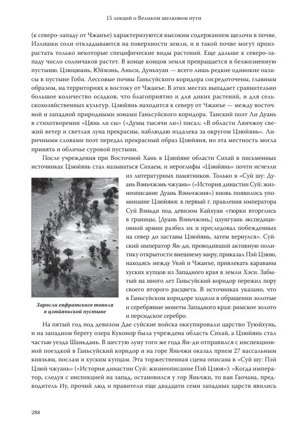 Линь Мэйцунь - 15 лекций об археологии Великого шелкового пути - Страница № 289