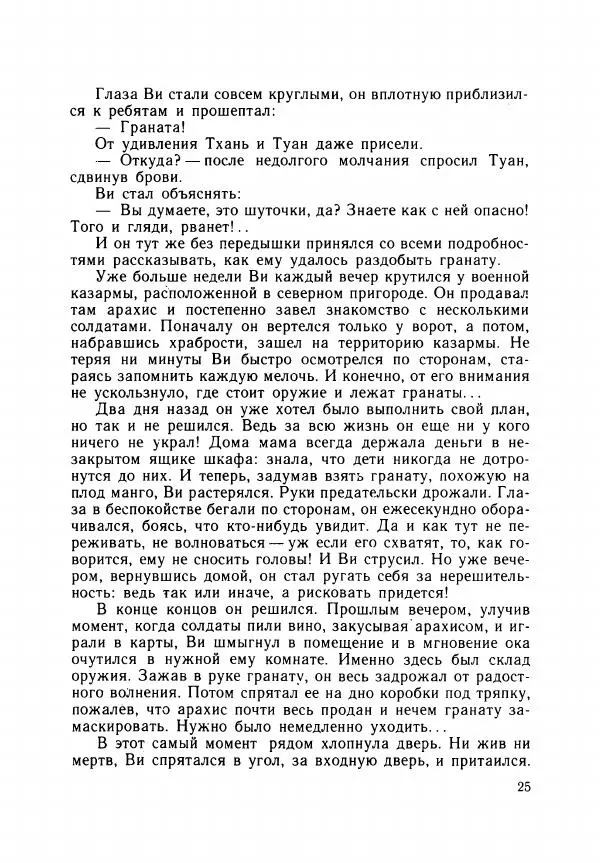 Хоанг Ань - Взрыв - Страница № 28