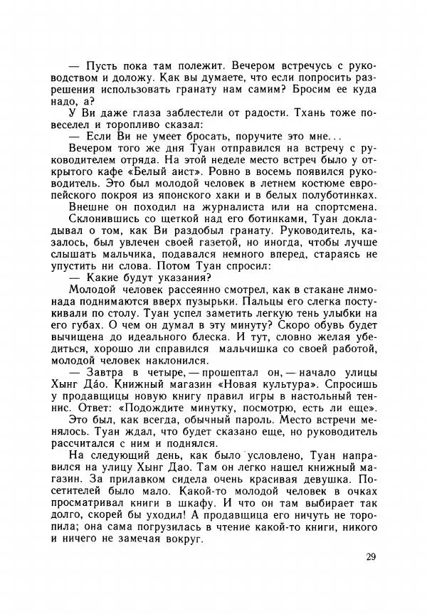 Хоанг Ань - Взрыв - Страница № 32