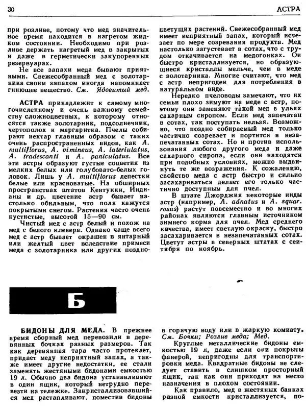 А. Рут - Энциклопедия пчеловодства - Страница № 30
