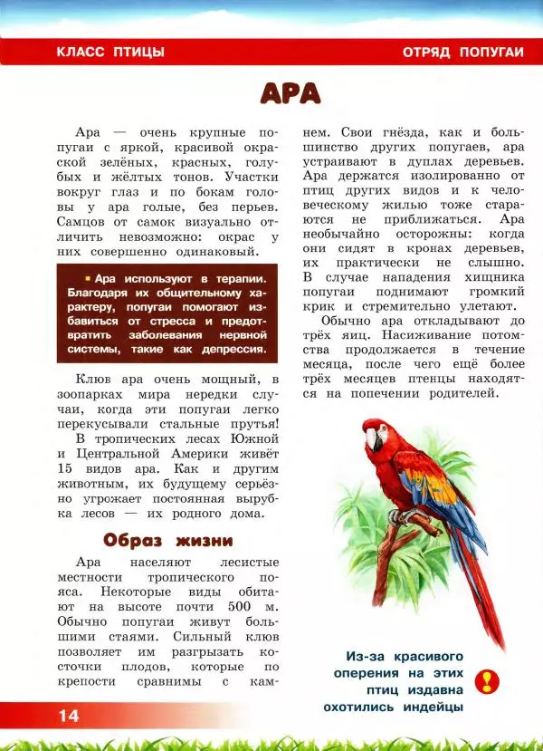 Сергей Рублев - Животные Южной Америки - Страница № 15