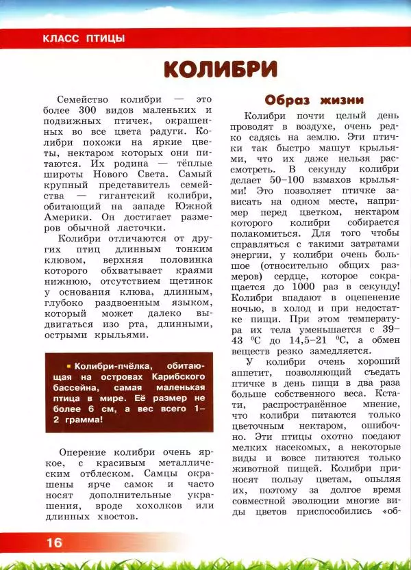 Сергей Рублев - Животные Южной Америки - Страница № 17