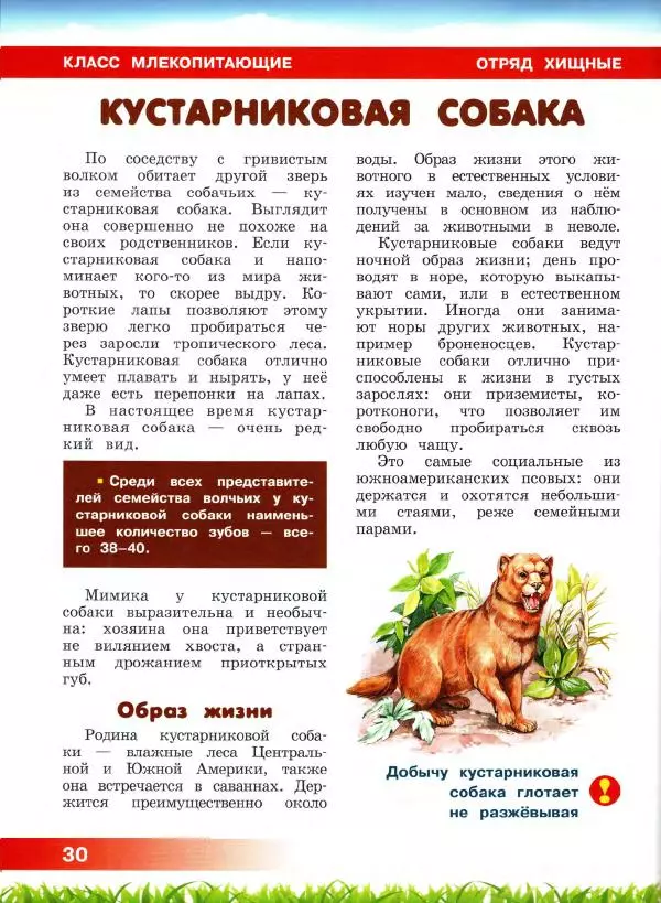 Сергей Рублев - Животные Южной Америки - Страница № 31