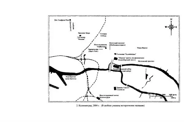 Кэтрин Скотт-Кларк - Янтарная комната. Тайная история величайшей мистификации ХХ века - Страница № 14