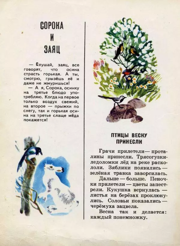 Николай Сладков - Сорочьи тараторки - Страница № 31
