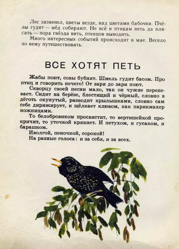 Николай Сладков - Сорочьи тараторки - Страница № 59