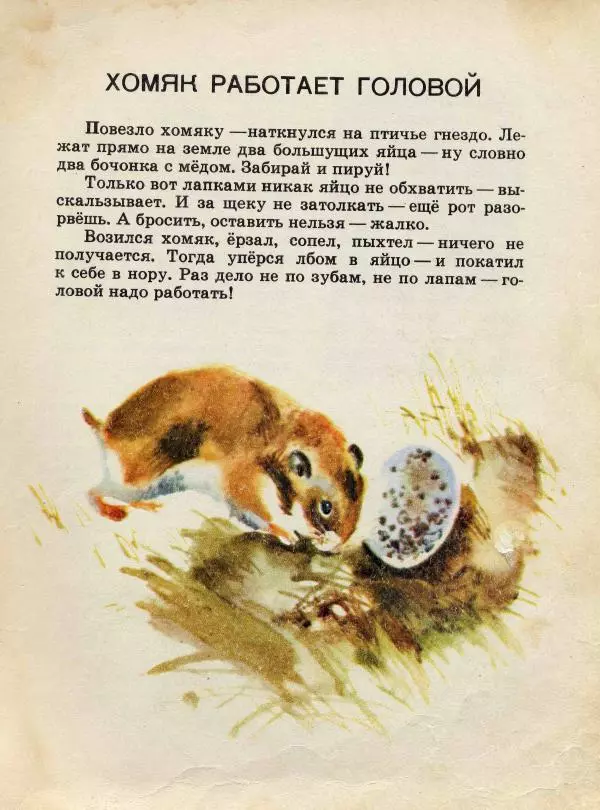 Николай Сладков - Сорочьи тараторки - Страница № 72