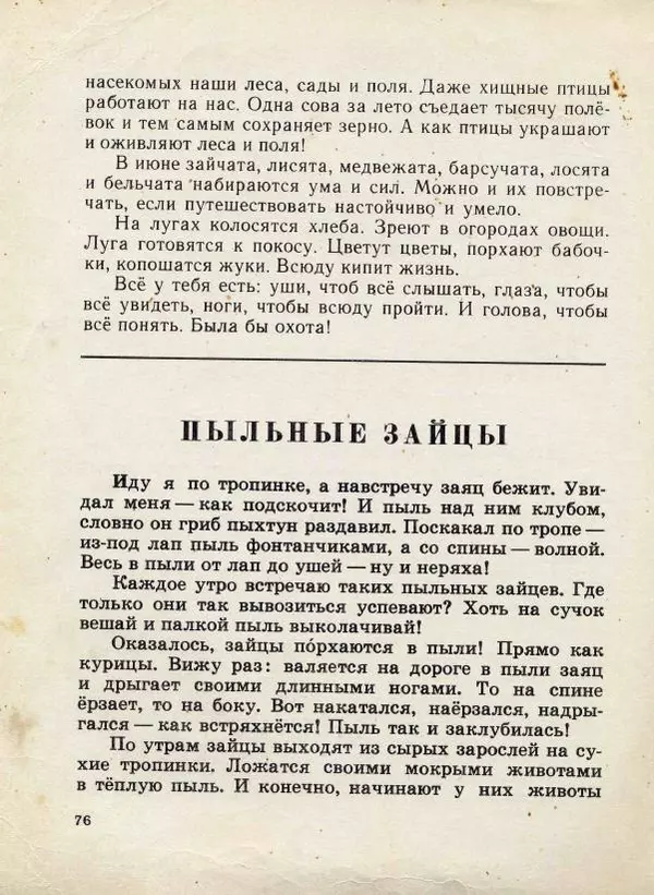 Николай Сладков - Сорочьи тараторки - Страница № 79