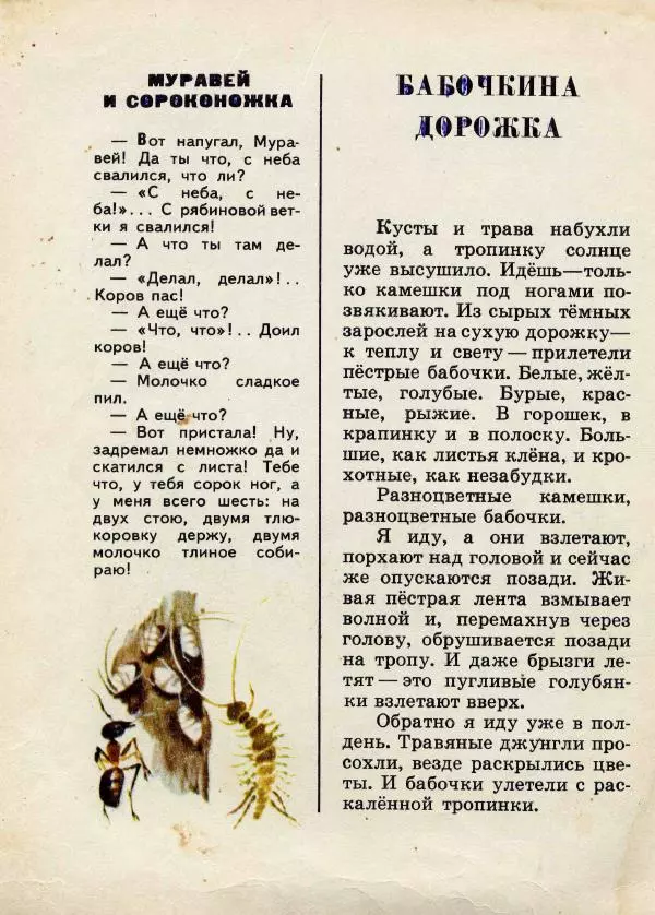 Николай Сладков - Сорочьи тараторки - Страница № 83