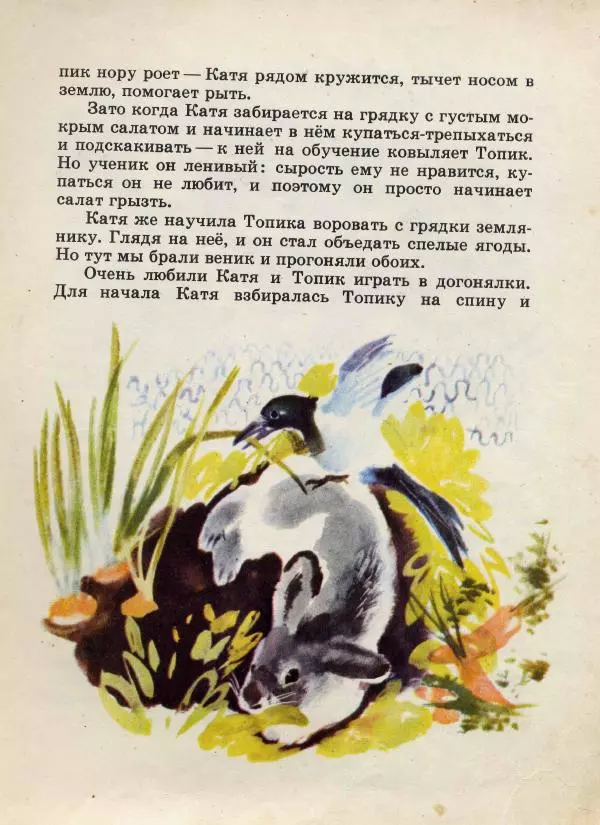 Николай Сладков - Сорочьи тараторки - Страница № 88