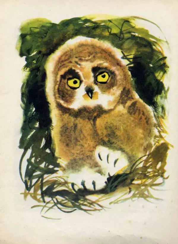 Николай Сладков - Сорочьи тараторки - Страница № 111