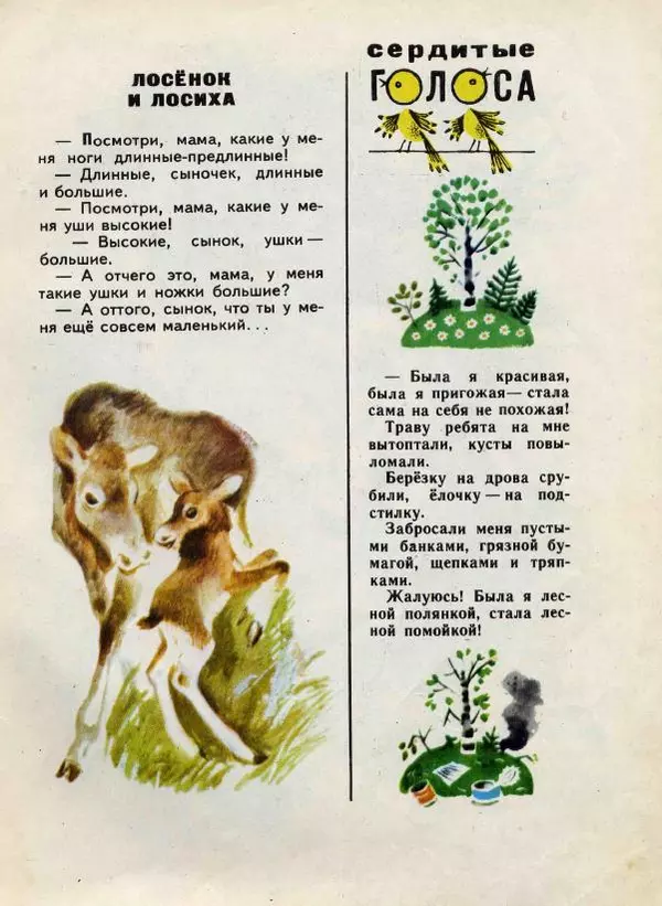 Николай Сладков - Сорочьи тараторки - Страница № 116