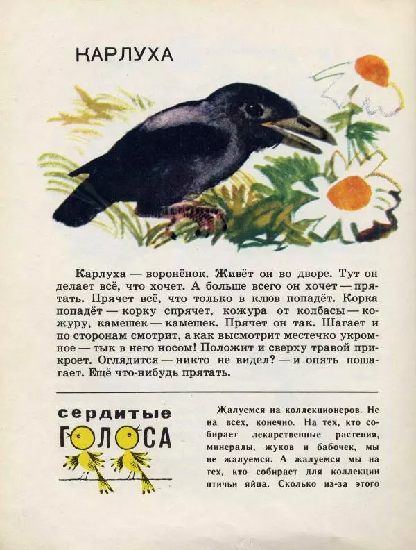 Николай Сладков - Сорочьи тараторки - Страница № 121