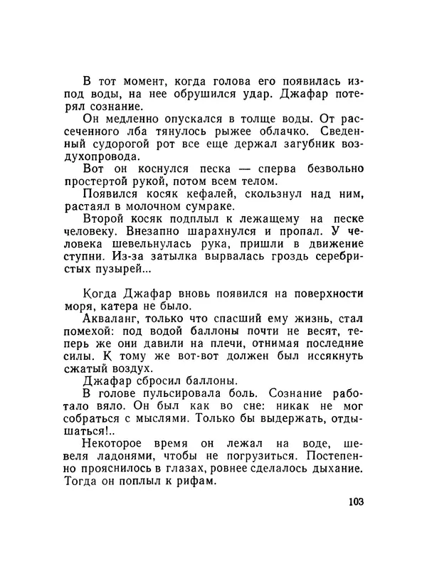 Александр Насибов - След на дне - Страница № 104