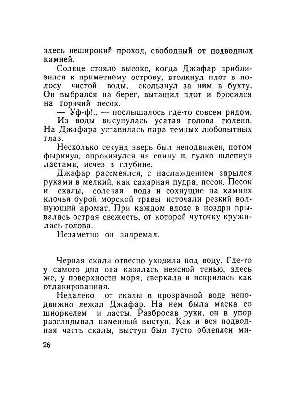 Александр Насибов - След на дне - Страница № 27