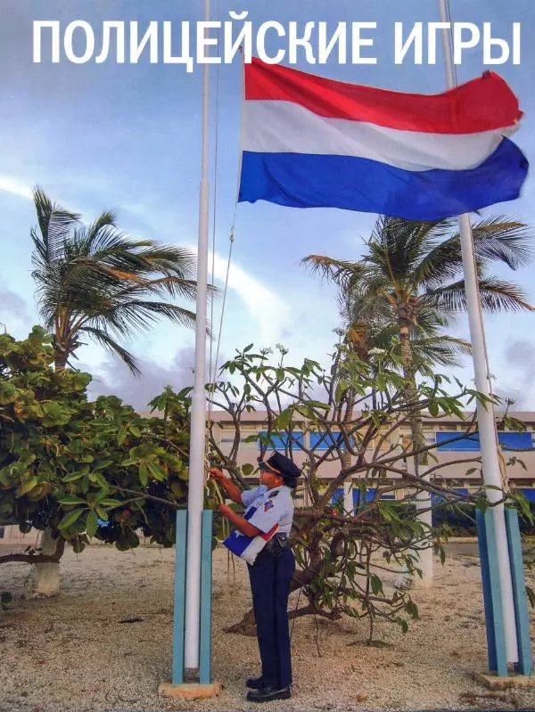  журнал Полицейские машины мира - Volvo 343. Полиция Нидерландов - Страница № 10